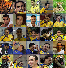 le tigre de el gharafa